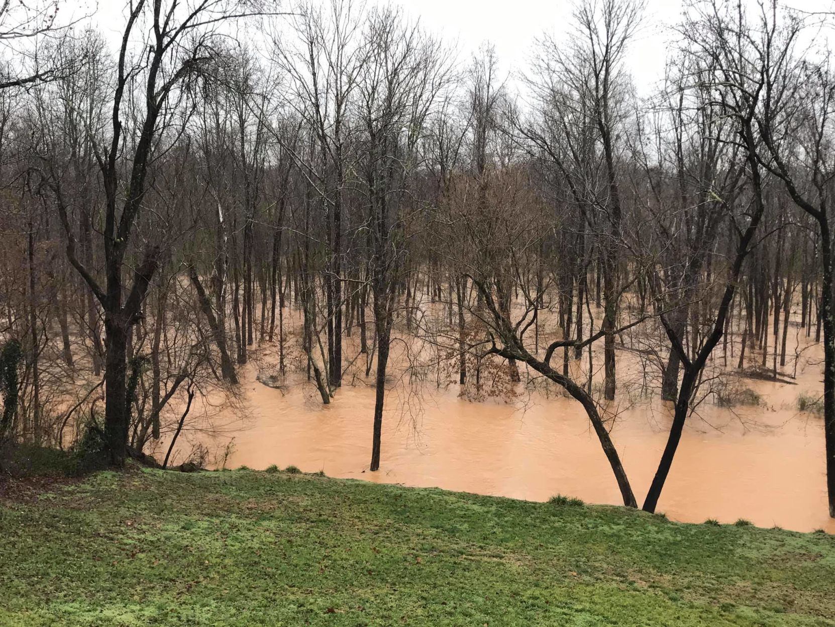 muddy creek 4.jpg